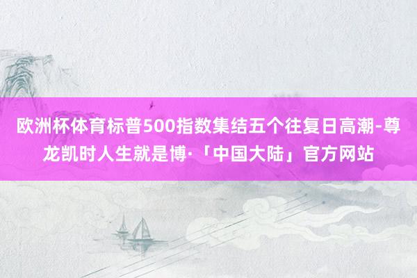 欧洲杯体育标普500指数集结五个往复日高潮-尊龙凯时人生就是博·「中国大陆」官方网站