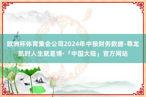 欧洲杯体育集会公司2024年中报财务数据-尊龙凯时人生就是博·「中国大陆」官方网站