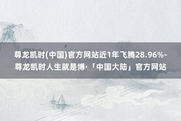 尊龙凯时(中国)官方网站近1年飞腾28.96%-尊龙凯时人生就是博·「中国大陆」官方网站