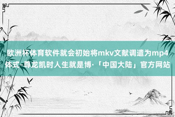 欧洲杯体育软件就会初始将mkv文献调遣为mp4体式-尊龙凯时人生就是博·「中国大陆」官方网站