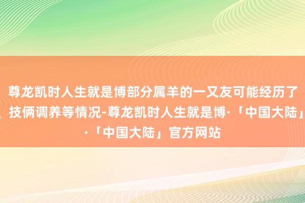 尊龙凯时人生就是博部分属羊的一又友可能经历了责任变动、技俩调养等情况-尊龙凯时人生就是博·「中国大陆」官方网站