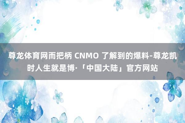 尊龙体育网而把柄 CNMO 了解到的爆料-尊龙凯时人生就是博·「中国大陆」官方网站
